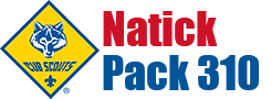 Natick Pack 310 Logo