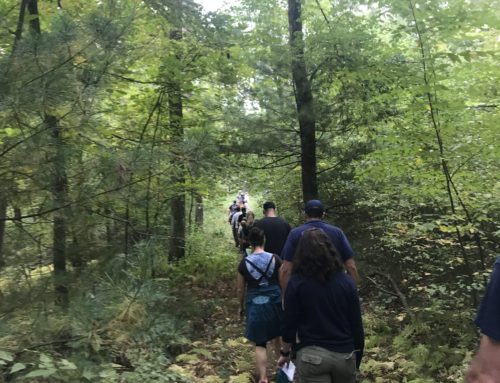 Pack 310 Hike – Pegan Hill