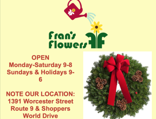 Wreath and Candle Sale- Fran’s Flowers